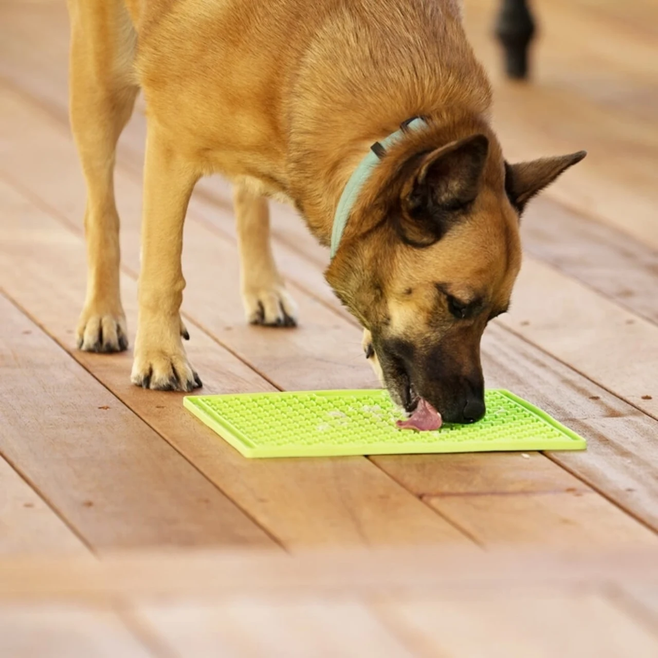 LickiMat Slikkemåtte 28 x 28 cm Grøn - aktiveringsmåtte til hunde